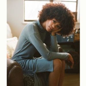 Long sleeve NWT anthro dress